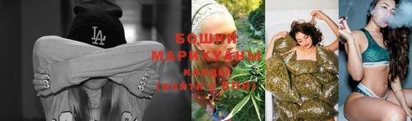 крисы Белокуриха