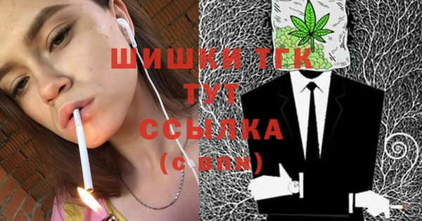 шишки Беломорск