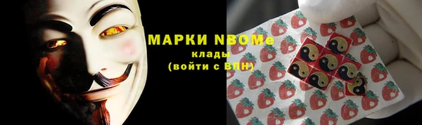 шишки Беломорск
