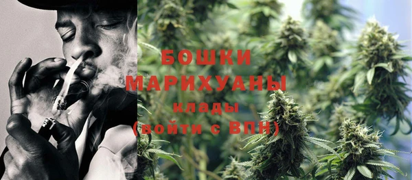 шишки Беломорск