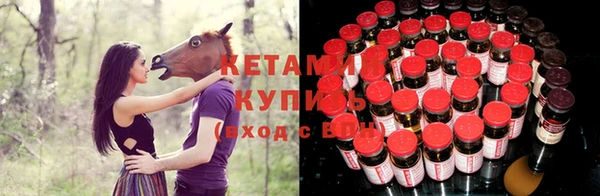 крисы Белокуриха
